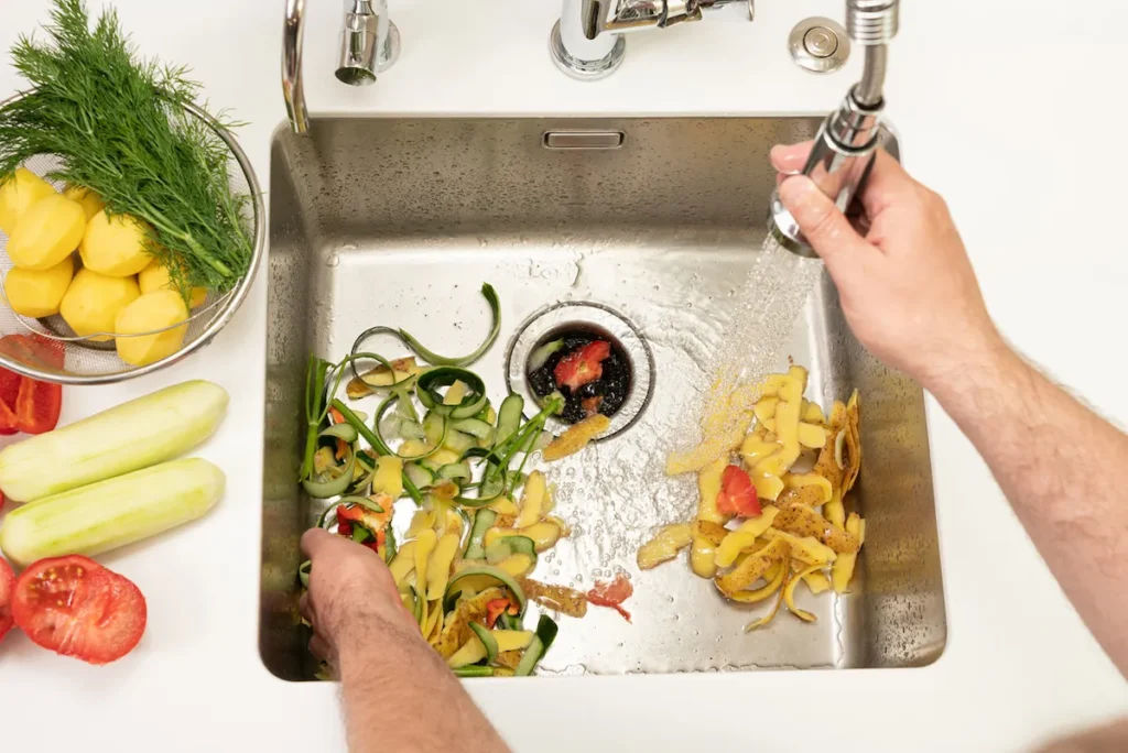 In Sink Erator Garbage Disposal.jpeg
